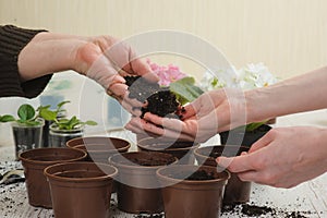 Old woman giving young girl handful of earth