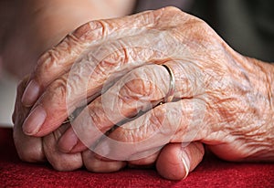 Old woman hand photo