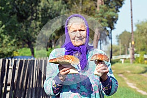 Old woman with mushrooms in her hands. Grandmother gathers mushrooms in the village.