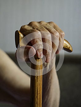 Old woman`s hand holding walking stick