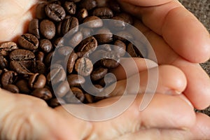 old woman& x27;s hands hold grains of roasted coffee