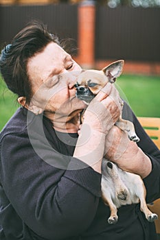 Old woman shows her love for a little chihuahua dog, kisses her