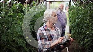 Old woman with tablet pc in greenhouse on farm