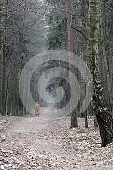 Old woman walking in the forest lifestyle. Depression, unhappy and pain in the receding silhouette of a sick elderly person