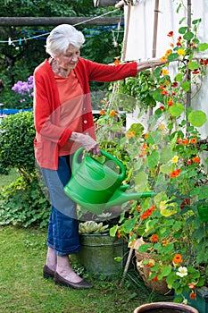 Old Woman Watering Flower Plants at the Garden.