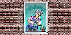 The old woman in the window watering potted flowers