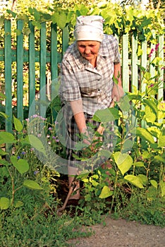 Old woman working