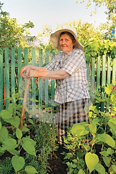 Old woman working in the garden