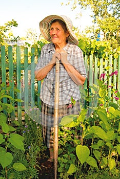 Old woman working in the garden