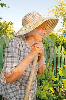 Old woman working in the garden