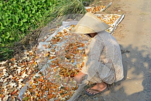 An old woman working at the house in southern Vietnam