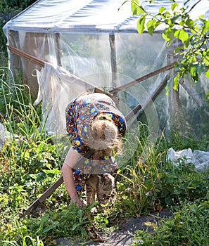 Vecchio una donna lavoro giardino 