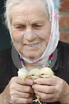 Old woman with yellow chickens