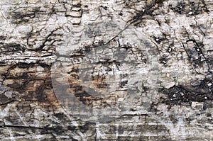 Old wood