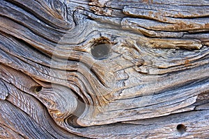 Old wood