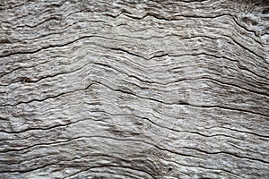 Old wood abstractbackground in thailand