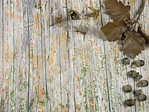 Old wood with autumnal decoration to use as background