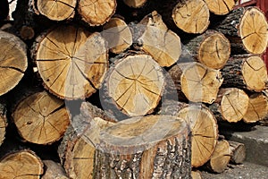 Old wood background. Deck of old logs