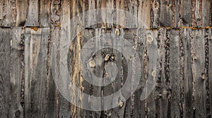 Old wood background with nail in black