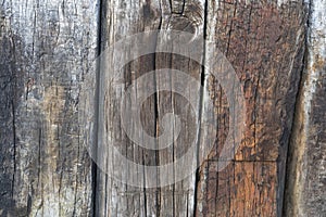 Old wood background