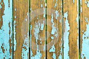 Old wood background with shabby blue paint.close-up