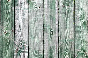 Old wood background with shabby green paint.close-up