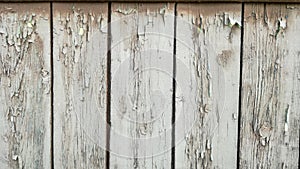 Old wood for background and texture