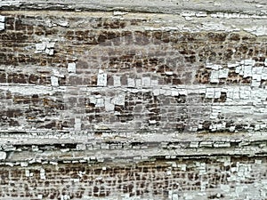 Old wood for background and texture