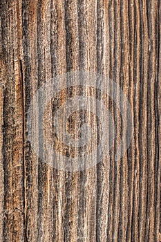 Old wood background with texture