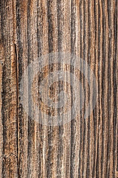 Old wood background with texture photo
