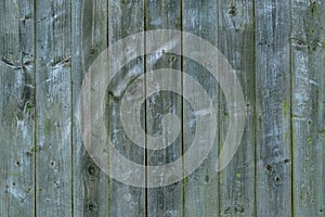 Old Wood background,Washed old Wooden texture,Vintage garden fence wall,Green Wood panel striped grain surface,Horizon Background