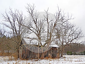 Old wood barn in FingerLakes wine country during late winter photo