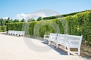 Old wood bench in the garden