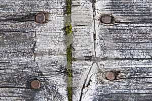 Old wood board in macro