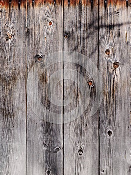 Old wood boards fence. Wood boards wall at sunny day with cranks and sunburnt photo