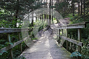 Old wood bridge on wooded trail in Omaha, NE