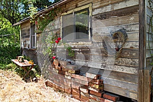 Old wood cabin in the woods