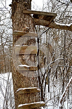 Old wood deer stand in the woods