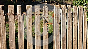 Old wood fence details