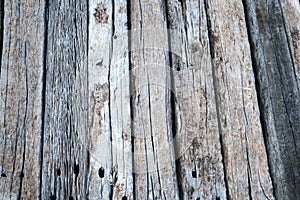 Old wood floor from the railroad tracks Caused by nature