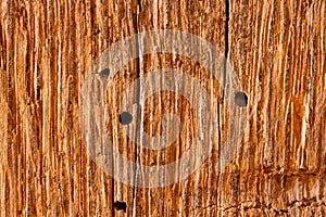 Old Wood Flooring Texture