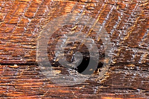 Old Wood Flooring Texture