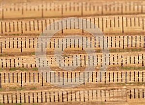 Old wood folding rule