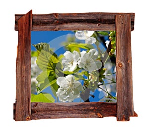 Old wood frames Spring