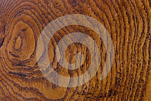 Old wood grain