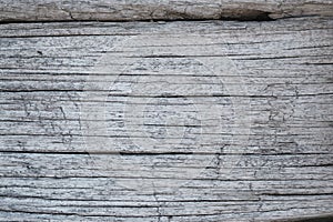 Old wood grey wall texture, textured wooden gray surface background, dark dry tree board.