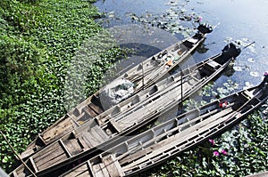 Old wood long tail boat stop at riverbank of Thale Noi lake