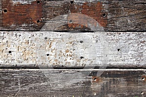 Old wood oak planks background