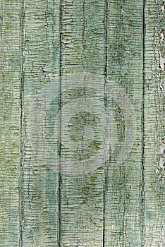 Old wood painted green fence texture