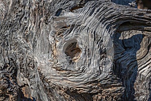 old wood pattern.